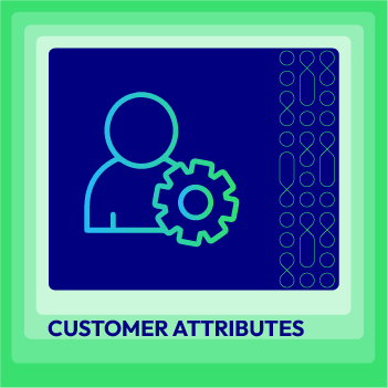 Customer Attributes Extension